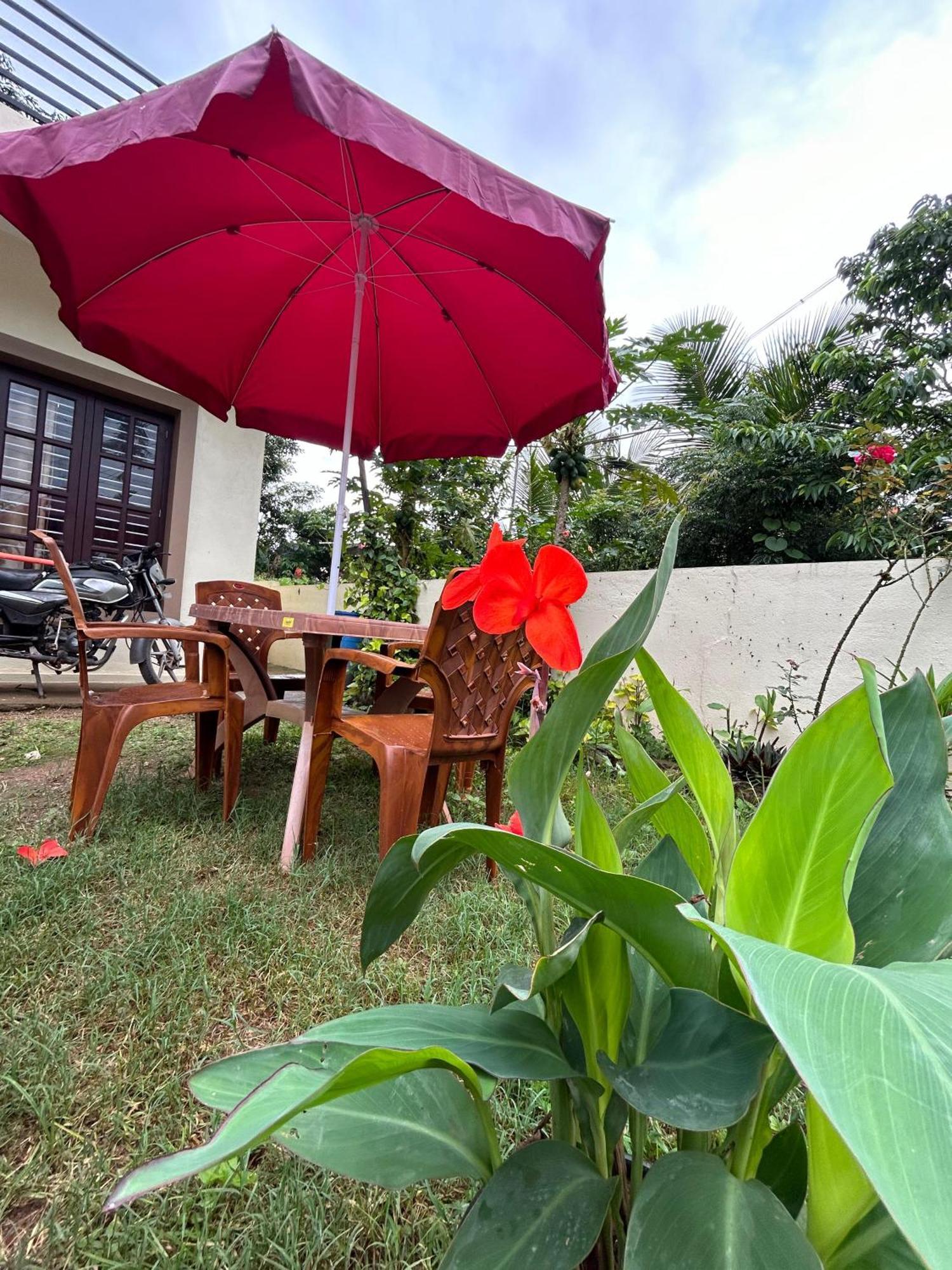 Cofiya Stay In Mudigere 外观 照片
